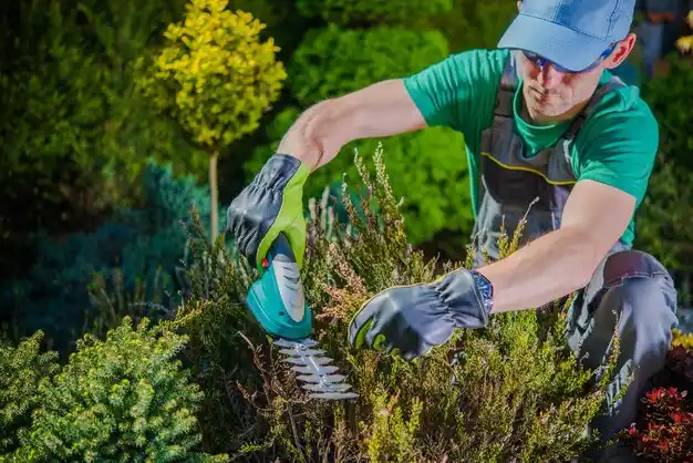 landscaping services La Fargeville